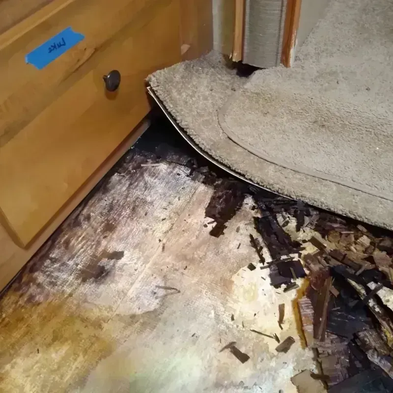 Wood Floor Water Damage in Cambridge, MD